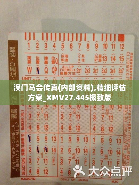 香港正版马会传真绝密信封,全面执行分析数据_FHD版77.413